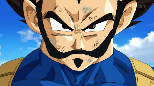 Vegeta's Mustache