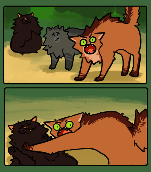 snickerdoobles:fireheart calm down it’s part of cinderpaw’s...