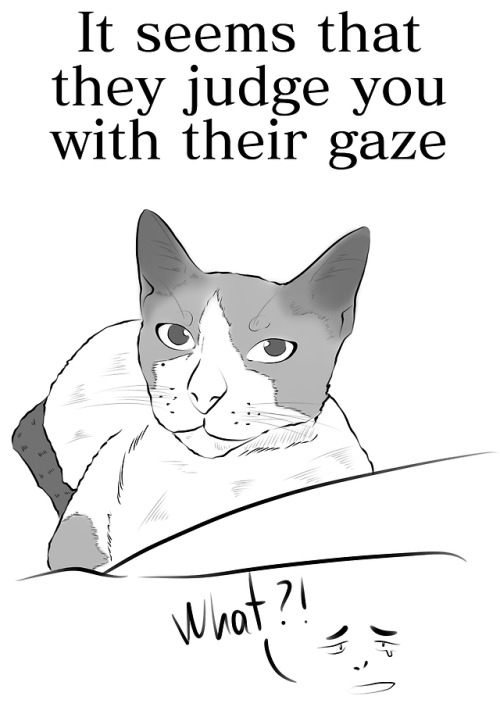 One day I was blockedThen I decided to draw my cats, then I saw...