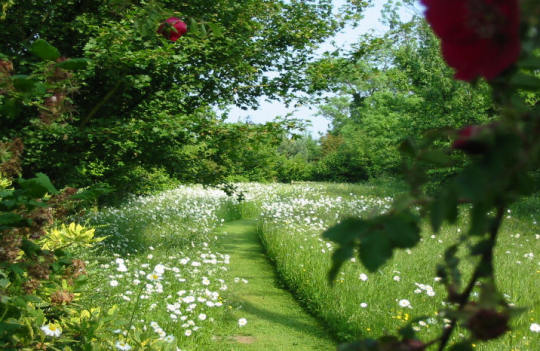 flora