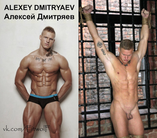 smallcockalphas:Straight Russian Bodybuilder Alexey Dmitryaev...