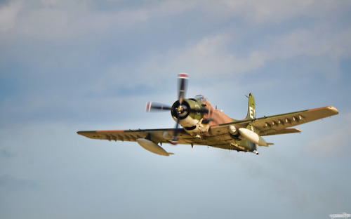 chadscapture:Douglas AD-1 Skyraider “Wiley Coyote”