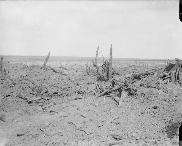WWI OnThisDay — Battle of Guillemont. 3-6 September 1916. The site...