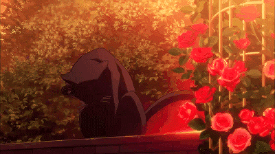 Aesthetic Tumblr Grunge Animeaesthetic Anime Rose Redro  Anime Aesthetic  Flower Gif Transparent PNG  515x451  Free Download on NicePNG
