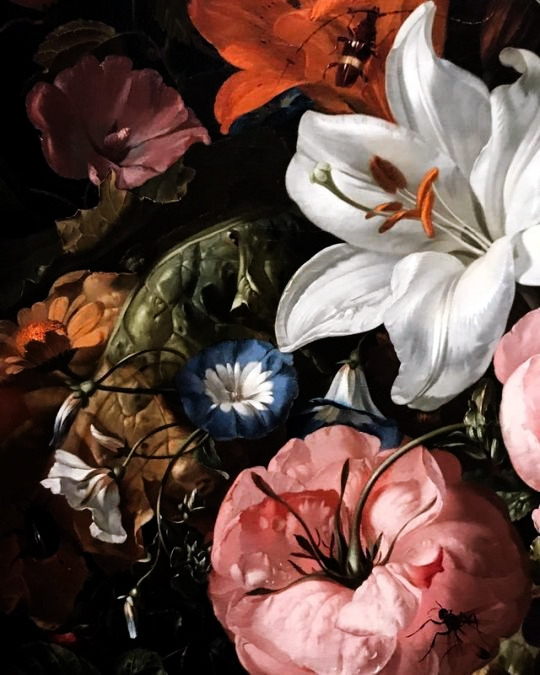 Rachel Ruysch Tumblr Posts Tumbral Com