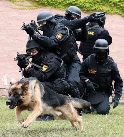 Hungarian special police forces