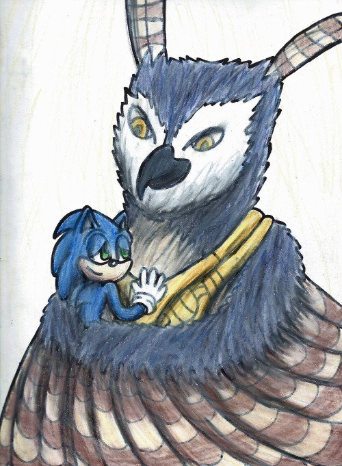 SonicCrazyGal - Longclaw and Sonic I finally got around to drawing...