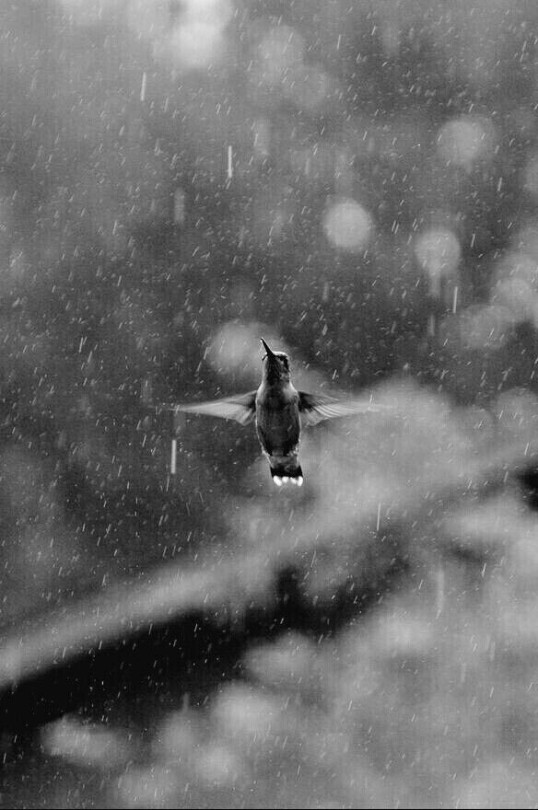 Resultado de imagen de tumblr lluvia