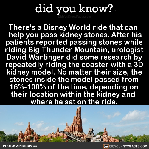 did-you-kno:There’s a Disney World ride that can help you...