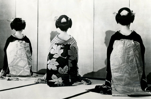 Three Pretty Maiko 1961 (by Blue Ruin1)
“ “Three pretty maiko (apprentice geisha) turn their backs to camera to reveal exquisite obi sashes – their trademark. Teenagers now, when they mature into geisha their sashes will be folded in back and wigs...