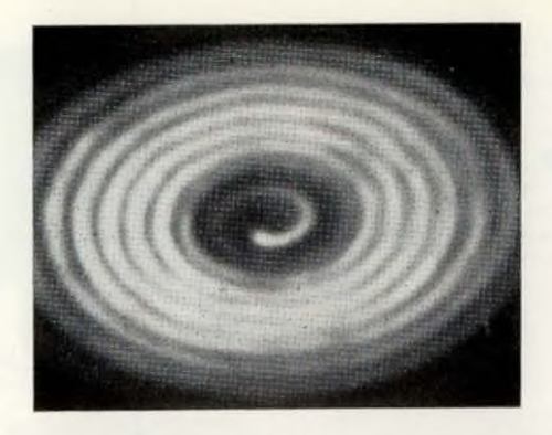 nemfrog:“X-ray pinhole photograph.”  Images. 1978. 