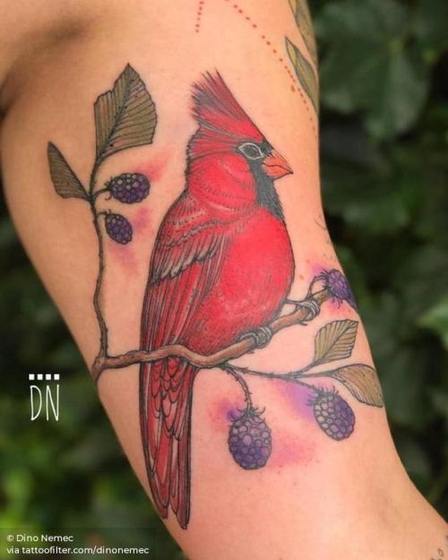 By Dino Nemec, done at Lone Wolf Private Tattooing Studio,... dinonemec;blackberry;inner arm;big;cardinal;animal;bird;food;facebook;nature;twitter;fruit;illustrative
