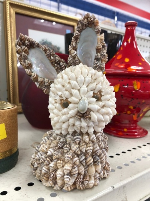 shiftythrifting:Seashell Rabbit