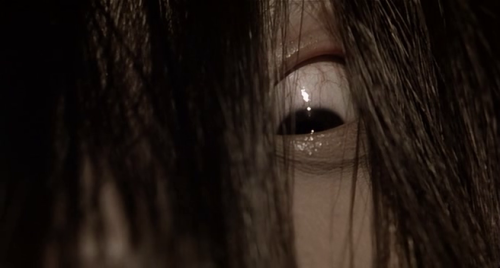 365filmsbyauroranocte:Ringu (The Ring) (Hideo Nakata, 1998)