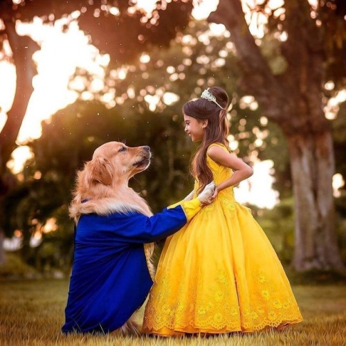 awwww-cute:Beauty and the Beast (Source:...