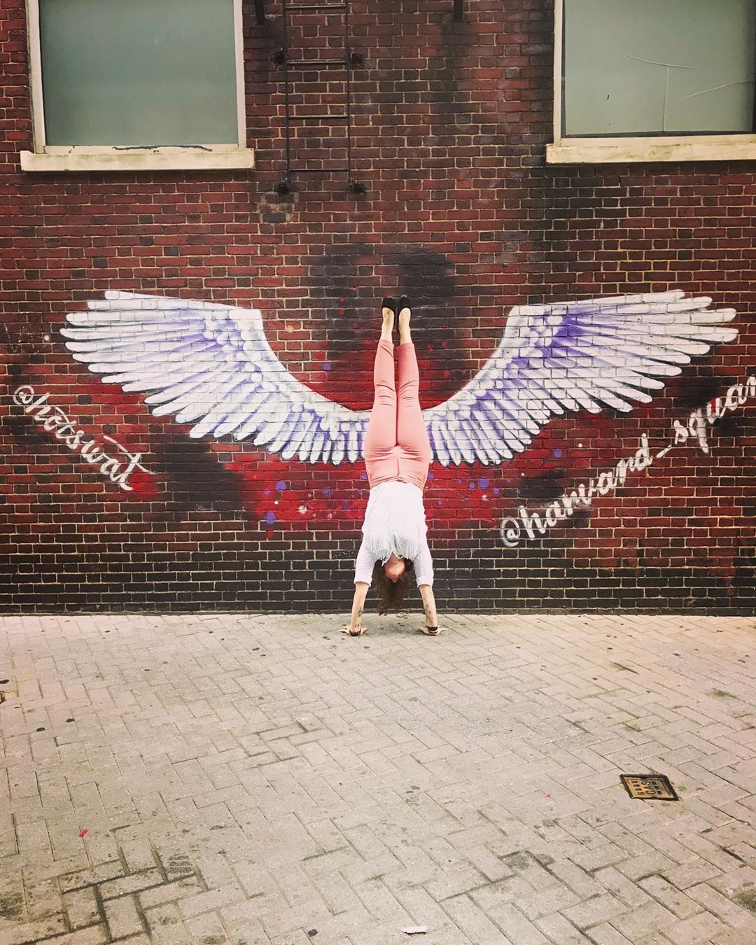 Iâve been working so hard and fast lately. I teach four days a week on top of my full-time job, so my nights off turn into errands and seeing friends. In the past two months, Iâve finished the second halves of two novels. I read everything I can get...