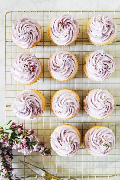 ugly–cupcakes:ginger almond cupcakes with lilac buttercream...