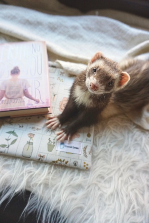 the-book-ferret:“They weren’t cheap and I was almost broke. It...