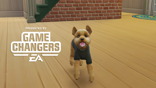 what-s-the-cutest-dog-cat-you-ve-discovered-also-can-human-sims-be