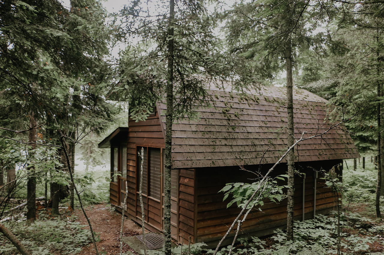 Lake Cabin Porn - Cabin Porn â€” In the woods of Bear Head Lake State Park,...