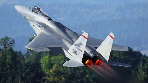 fireinhorizon:F-15 Eagle