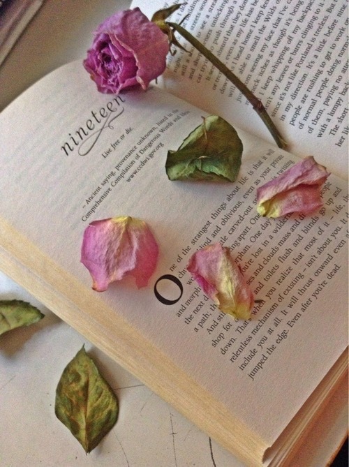 books-andflowers:Books and dry flowers 