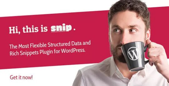 SNIP v2.14.2 – Structured Data Plugin for WordPress Nulled