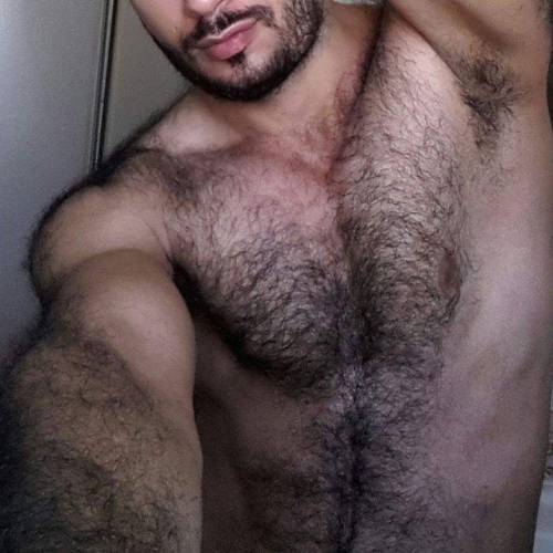 Hairy Men R The Hottest