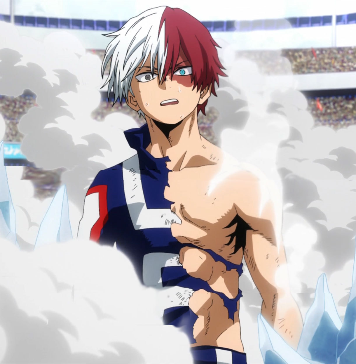 10+ Mejor Para Bnha Todoroki Shirtless - Frank and Cloody