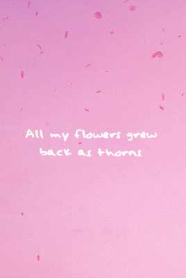 typography my edits typographyedit dailyladylyrics