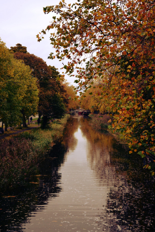 sean-o-neill-photography:The Grand Canal, Dublin