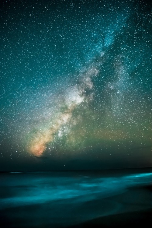 extragalacticy:Photo by Casey Horner on Unsplash