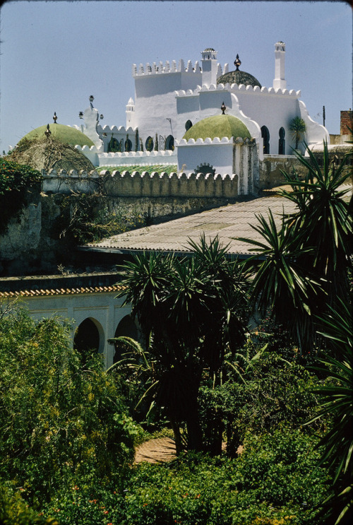 Morocco in the 1960sA photographer and practicing architect, Wim...