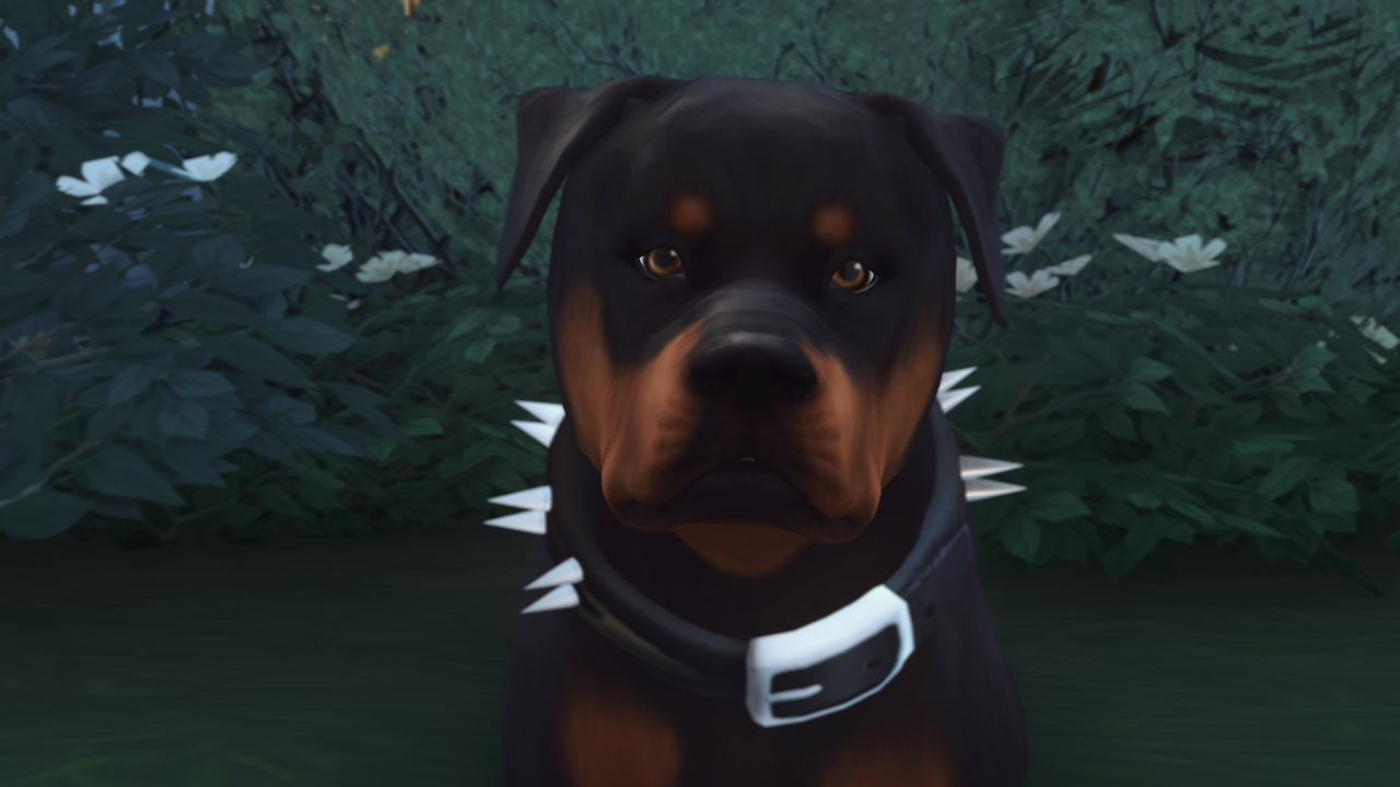 Maplesim 5