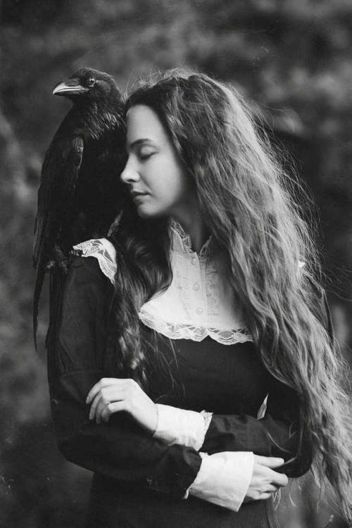 Raven Black And White Tumblr