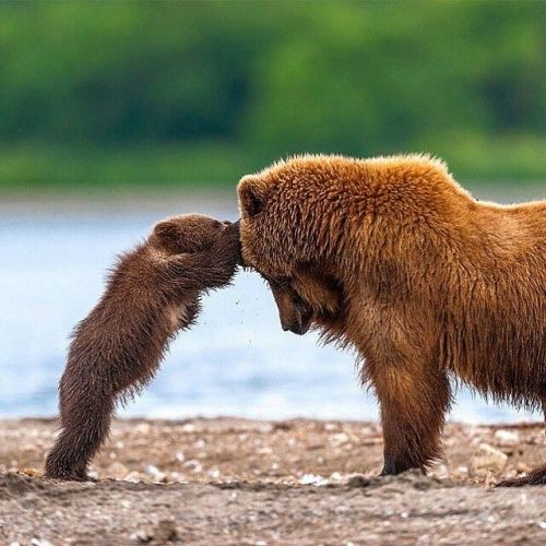 fridaybear:Happy freakin’ Friday!Get you some weekend!