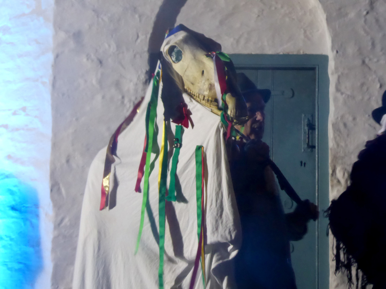 Mari Lwyd