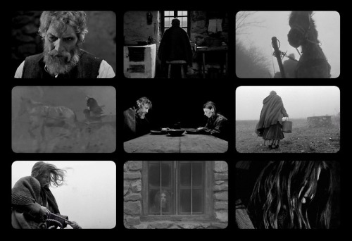 Odds and SodsThe Turin Horse,  Madeline’s Madeline,  Odd...