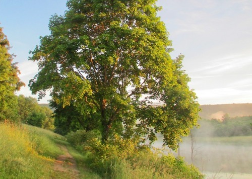 geopsych:Along the lake path, two years ago today.