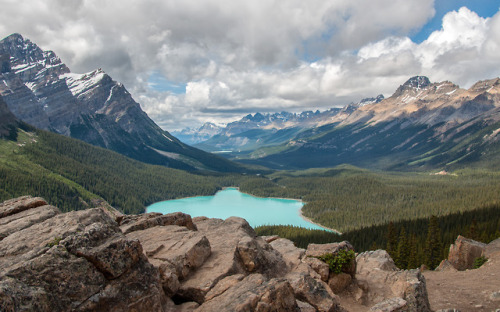 tallyincanada:Peyto lake in Banff National Park, AB