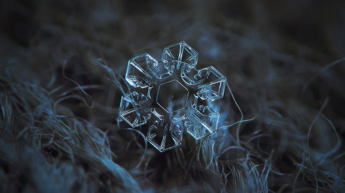 sixpenceee:A stunning compilation of snowflakes up close....