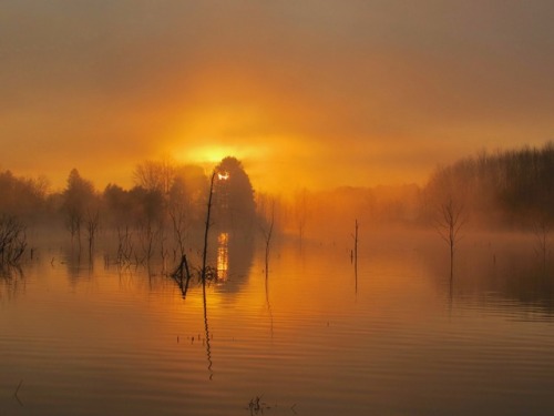 geopsych:When the sun rose it lit up the fog.