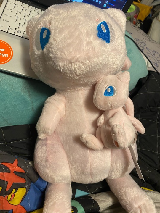 giant mew plush