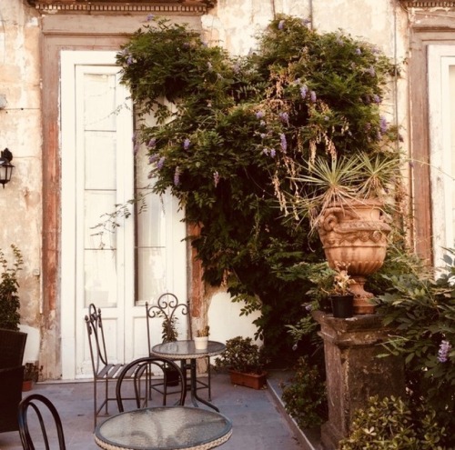 mine moodboard warm aesthetic parisian chic fashion inspiration aesthetics