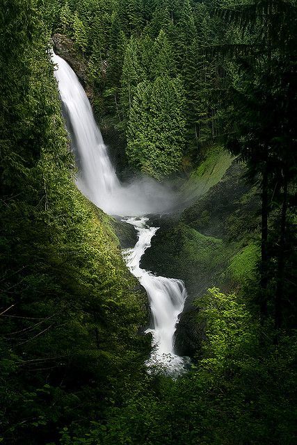 afairyheart:Wallace Falls by Chris Tarnawski