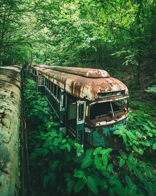 jessmoinillonseropo:abandonedandurbex:Nature takes everything...