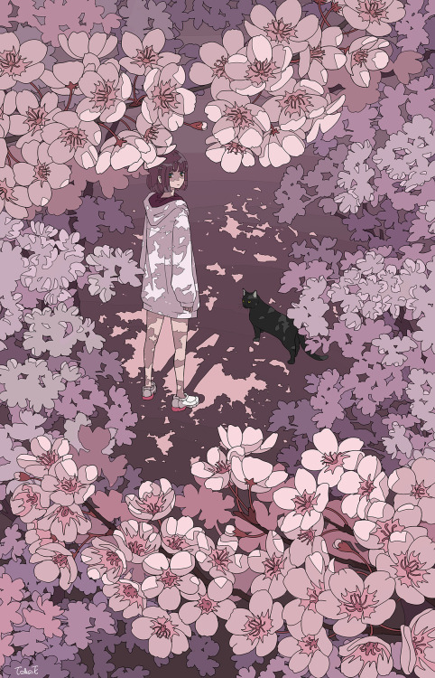 toko-t