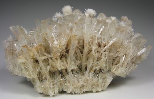 bijoux-et-mineraux:Selenite puff balls on Selenite - Victoria,...