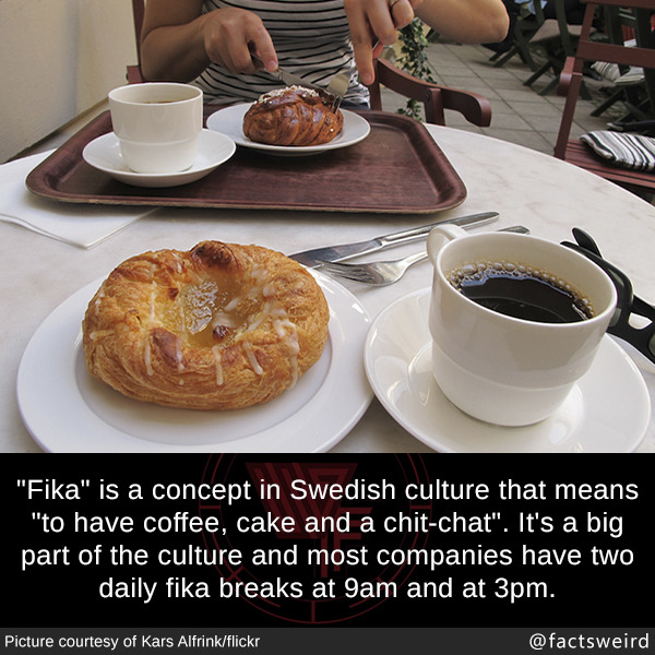 Weird Facts Fika Is A Concept In Swedish Culture That Means