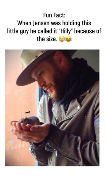 jensenackles-daily